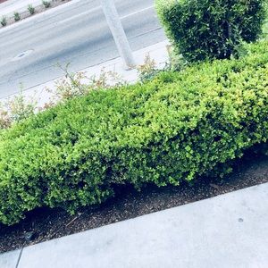 Meet your Posher, Cameron